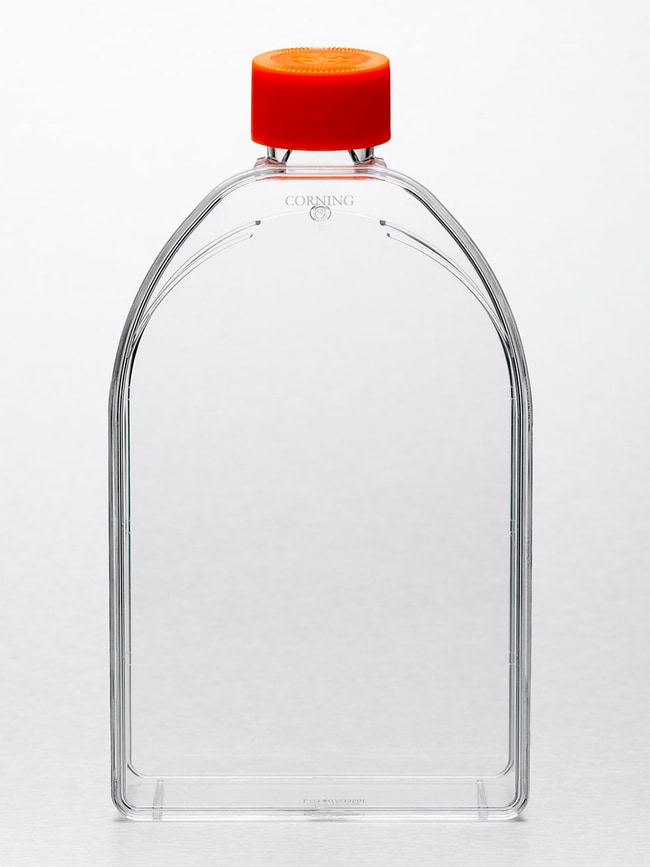Corning Cell Culture Untreated Flasks, K